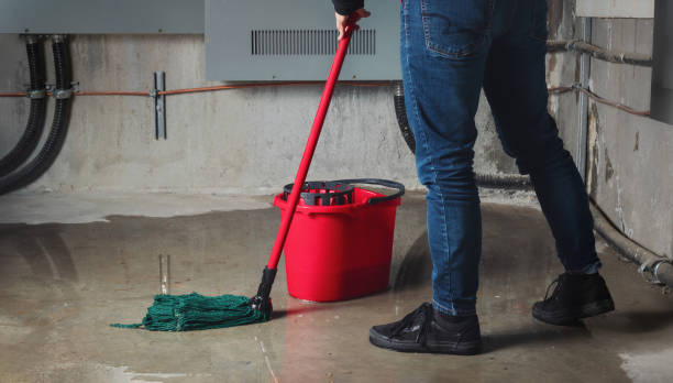 Best Water damage restoration near me  in Bertsch Oceanview, CA