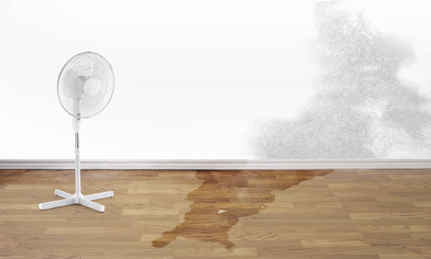 Best Water damage restoration near me  in Bertsch Oceanview, CA