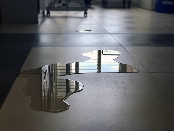 Best Commercial water damage restoration  in Bertsch Oceanview, CA