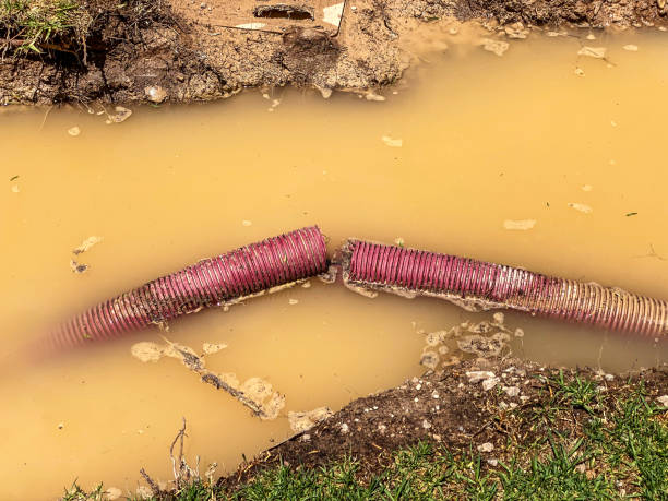 Best Flood restoration services  in Bertsch Oceanview, CA