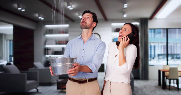 Best Water damage restoration process  in Bertsch Oceanview, CA